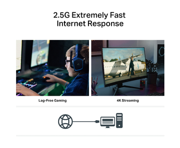 TP-LINK T. DE RED 2.5 Gbit PCI-E